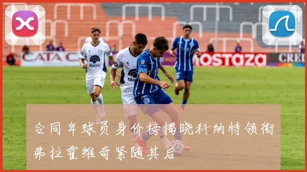 合同年球员身价榜揭晓科纳特领衔弗拉霍维奇紧随其后