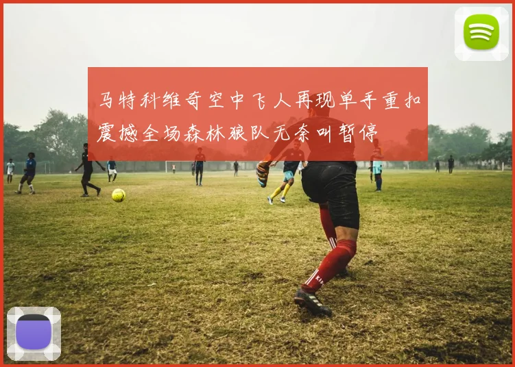 马特科维奇空中飞人再现单手重扣震撼全场森林狼队无奈叫暂停