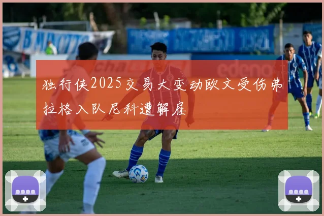 独行侠2025交易大变动欧文受伤弗拉格入队尼科遭解雇