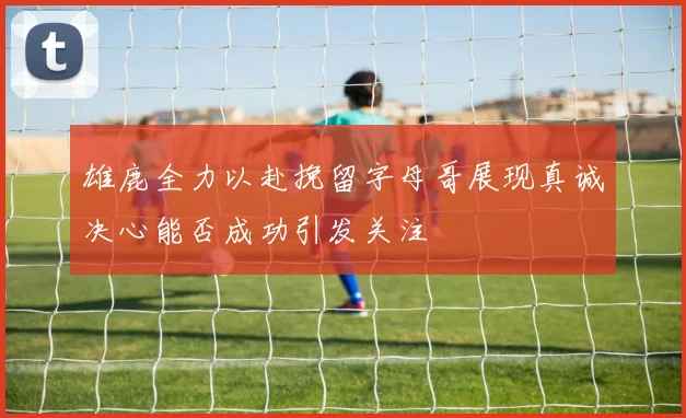 雄鹿全力以赴挽留字母哥展现真诚决心能否成功引发关注