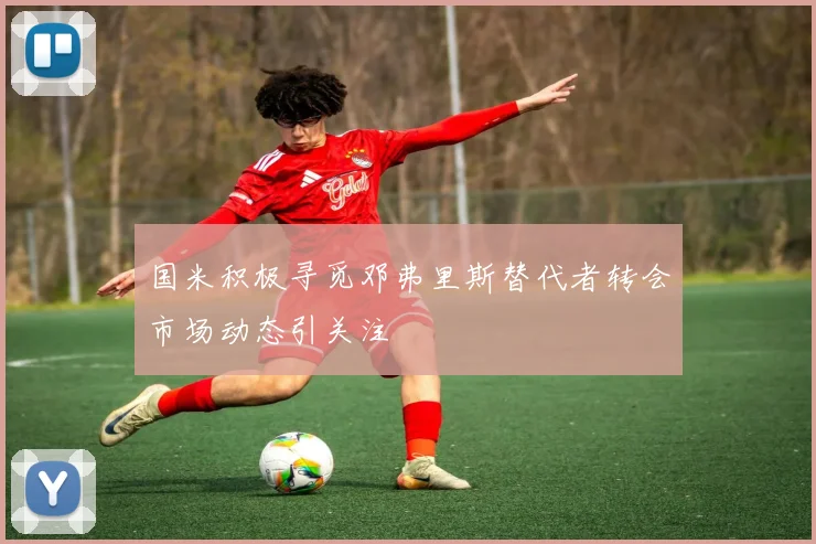 国米积极寻觅邓弗里斯替代者转会市场动态引关注