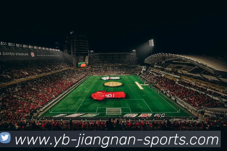 江南体育APP 封面图