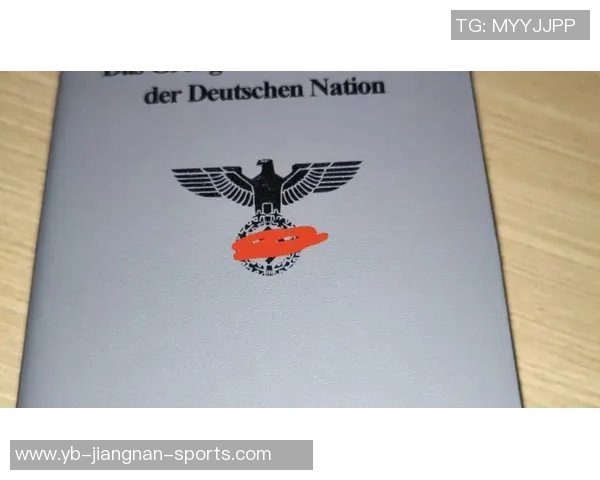 德佩因护照失踪怀疑被盗紧急申请新护照应对困境 德佩因护照失踪怀疑被盗紧急申请新护照应对困境